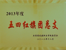 2013年度五四紅旗團總支